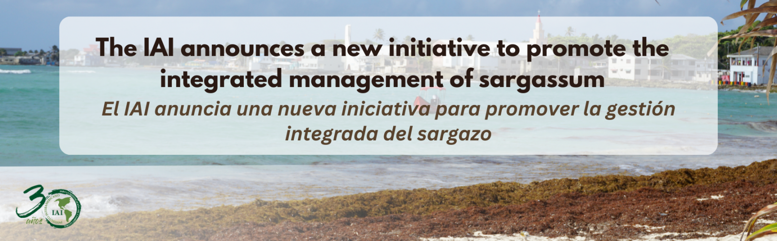 El IAI liderará una iniciativa para desarrollar un formulario de identificación de proyecto (PIF) para el Fondo Mundial para el Medio Ambiente (GEF) sobre la “Promoción del Manejo Integrado del Sargazo: Construyendo Turismo y Pesca Resilientes a través de la Conservación de los Ecosistemas Marinos (SARGMARINE)”.