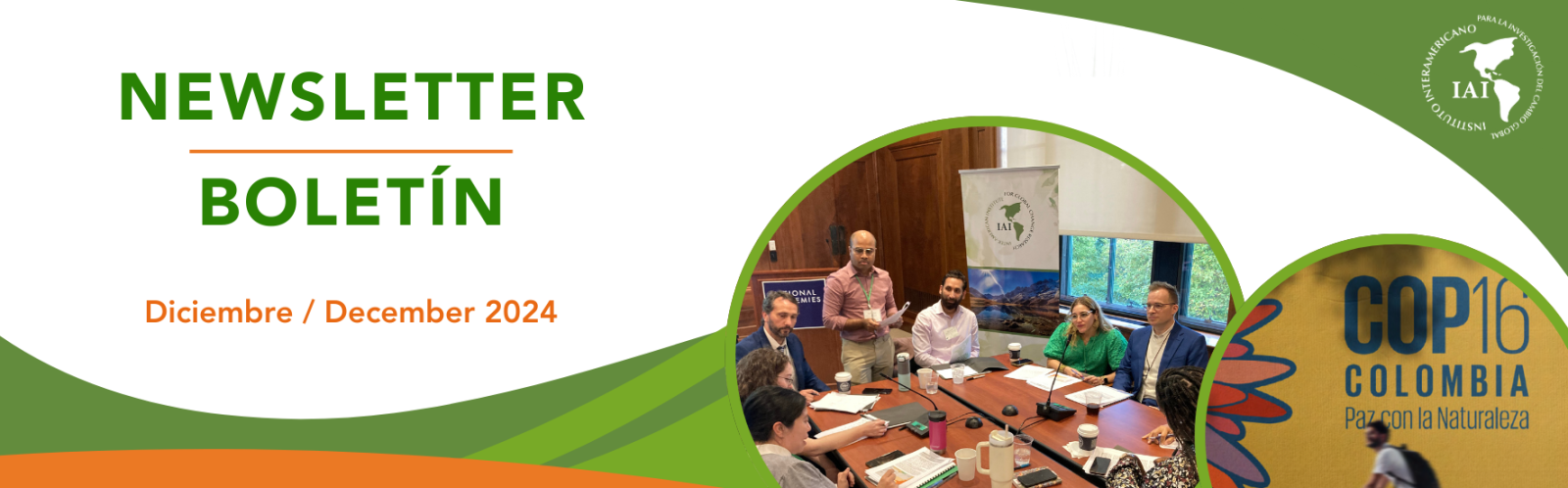 Newsletter del IAI 4/2024