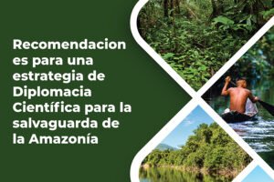 Recomendaciones para una estrategia de Diplomacia Científica para la salvaguarda de la Amazonía